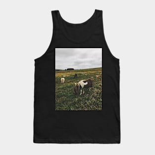 Wild Ponies in England Tank Top